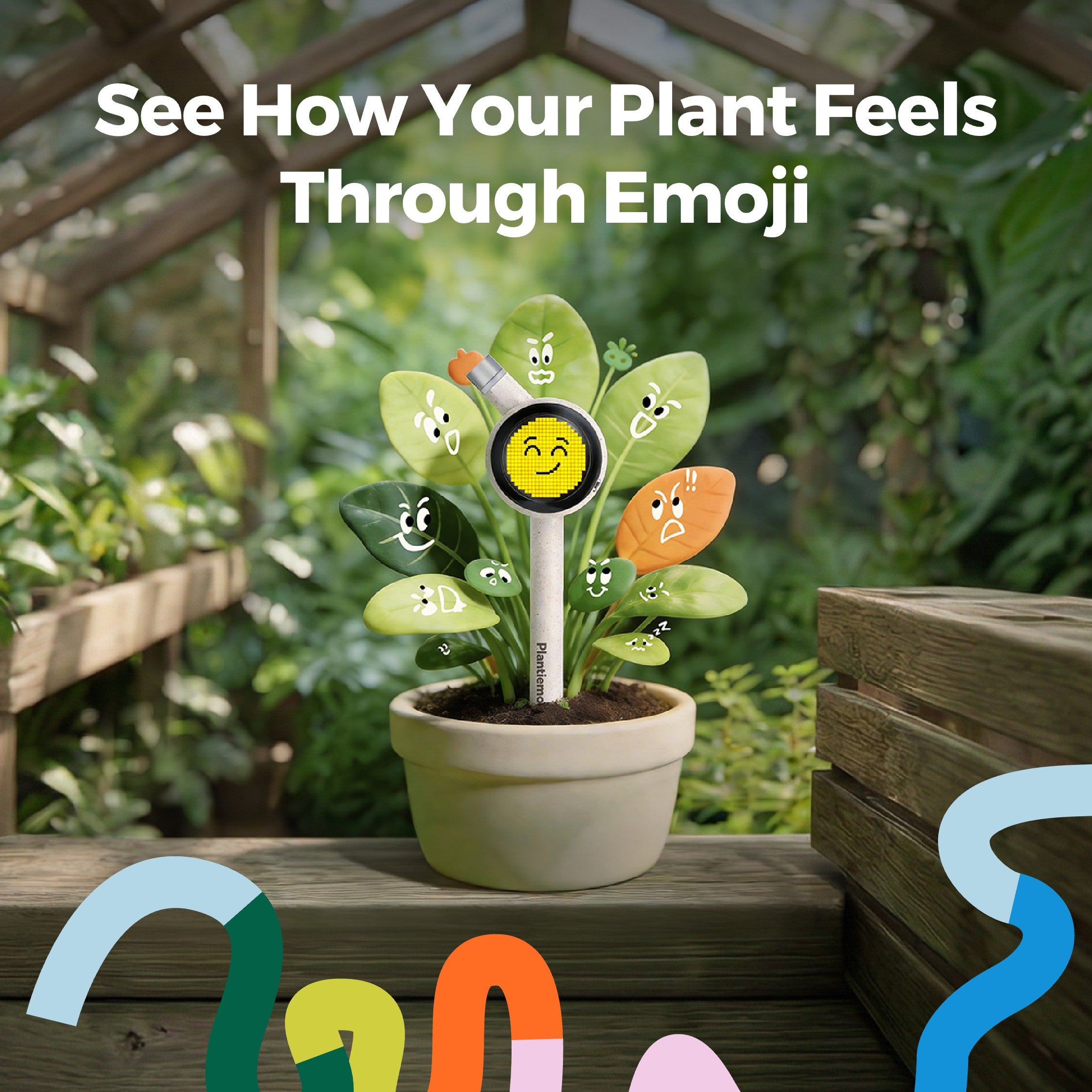 PLANTIEMOJI KIT DEPOSIT