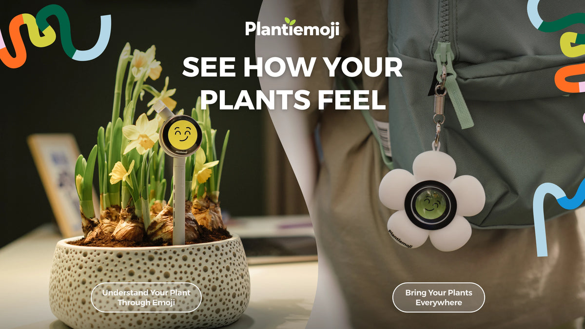 Plantiemoji product and campaign image